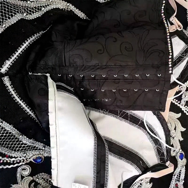 Black and Silver Swan