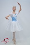Giselle P0528 - Giselle Tutus